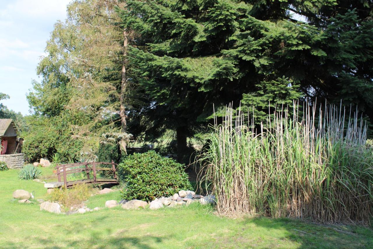 Villa Bauernhofurlaub bei Familie Bokeloh Kirchlinteln Exterior foto